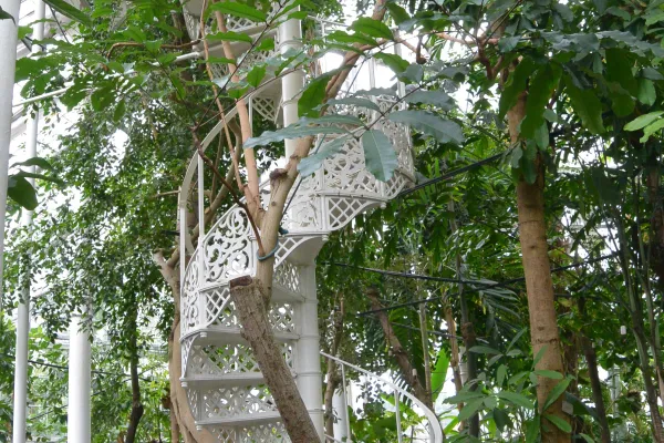 Botanisk Have