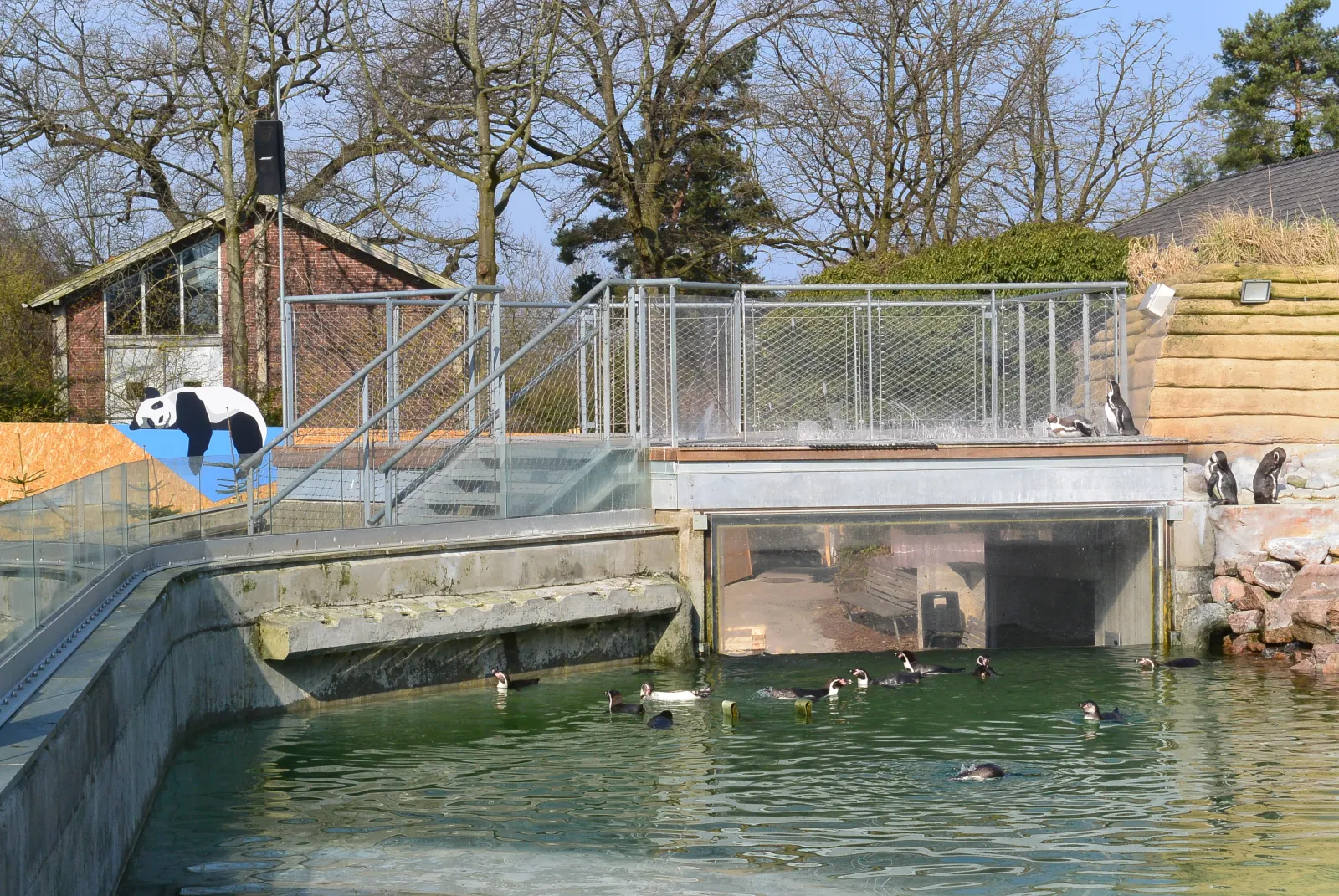 Zoologisk Have - Pingvinanlæg